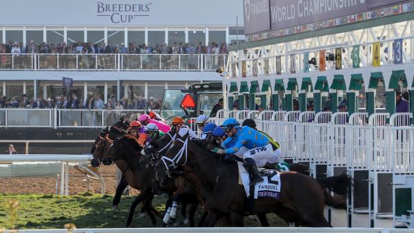 2024 BREEDERS' CUP まとめセット 2024 BREEDERS' CUP まとめセット